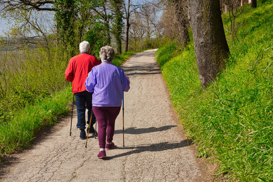 Senior Couple Hiking Together In Nature