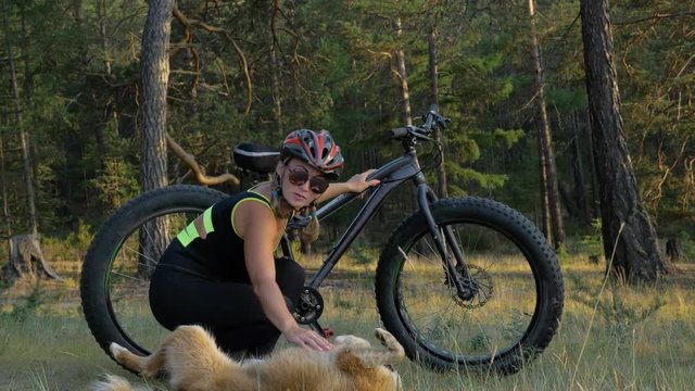 Fat bike also called fatbike or fat-tire bike in summer riding in the forest. Beautiful girl and her bicycle in the forest. She met the dog in the woods and stroked her. The dog is very kind and good.