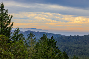 Fog rolling in around Mount Tamalpais north of San Francisco California