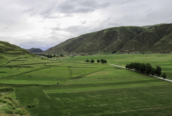 Fototapeta na wymiar Tibet Grassland Meadow