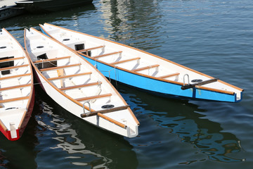 Dragon Boats on the dock