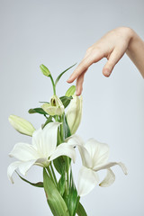 Fototapeta premium hand with flower isolated on white background