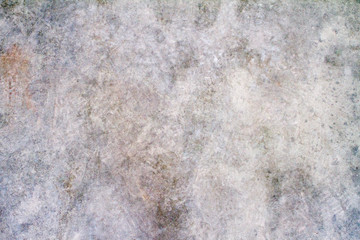 Backdrop 5