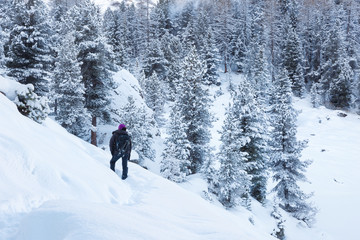 Fototapeta na wymiar Hiker in mountain and forest during winter