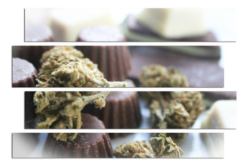 Marijuana Chocolate Edibles With Bud High Quality 
