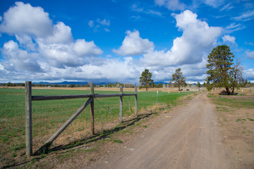 Country road along a fenced meadow in Bend, Oregon.