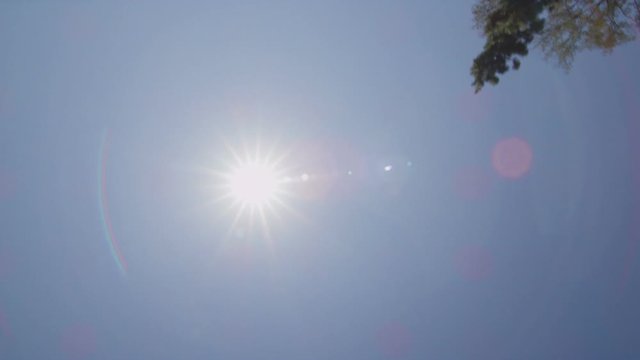 Reflection Plate Of A Driving Plate: This View Shows Only The Sky And Objects Seen Above The Car As It Travels Eastbound On Colorado Boulevard In Pasadena, California, Crosses Colorado Street Bridge And Continues To The Intersection At Orange Grove Boulevard.