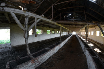 Abandoned ruined milk farm in 1 kilometer near Chernobyl area border
