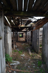 Fototapeta na wymiar Abandoned ruined milk farm in 1 kilometer near Chernobyl area border 