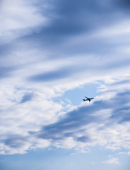 Airplane in Sky