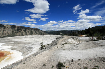 Fototapeta na wymiar Mammoth Hot Springs Lower Terrace in Yellowstone National Park in Wyoming United States