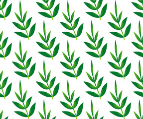 Fototapeta premium bamboo leaves pattern