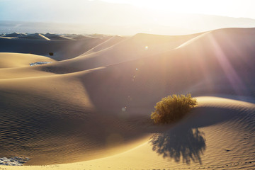 Sand dunes in California