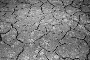 The texture of the cracking of the earth. The concept of using natural resources. Black and white image.