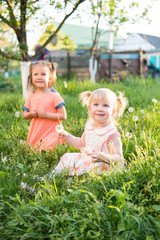 Two little girls playing on the grass