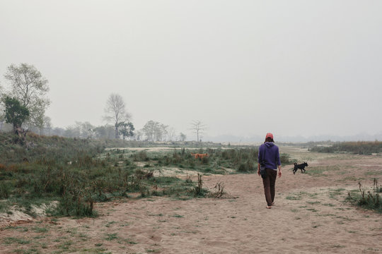 Traveller man walking outdoor with dogs. Morning Fog landscape, river shore