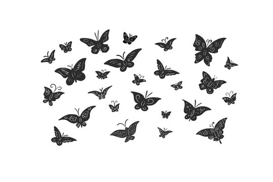 Butterflies black silhouettes on white background. Patterned insects isolated. 