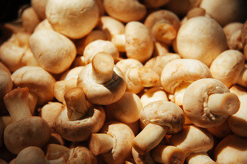 Fresh mushrooms background