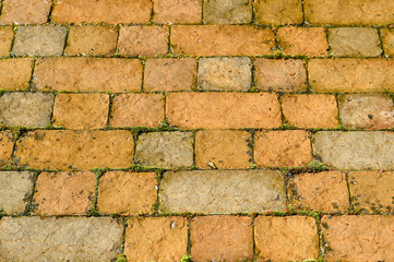 Fine texture of the wall light yellow bricks. Background.