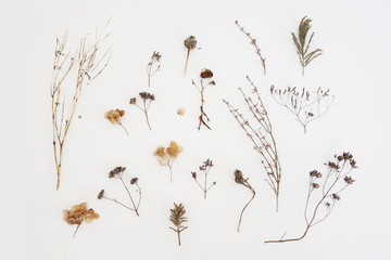 A lot of dried herbs isolated on white background.