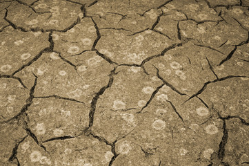 Fototapeta premium The texture of the cracking of the earth. The concept of using natural resources. Toning.