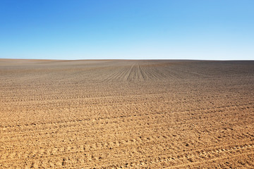 Naklejka premium A field of plowed ground on a background of blue sky.