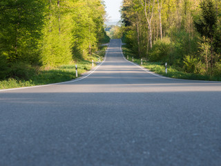 Landstraße im Frühling  durch den Wald führend Zentralperspektive