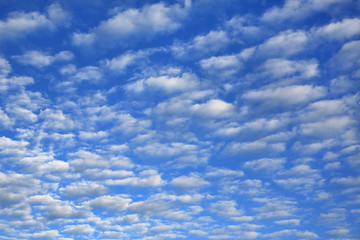 Abstract clouds on the blue sky.