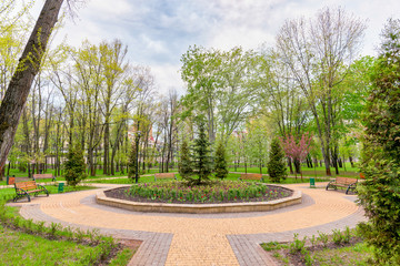 A flowerbed with colorful flowers, in the center of a little square in the Natalka park of Kiev, Ukraine, at the beginning of the spring