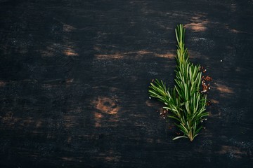 Rosemary. On a black wooden background. Spices Top view. Copy space.