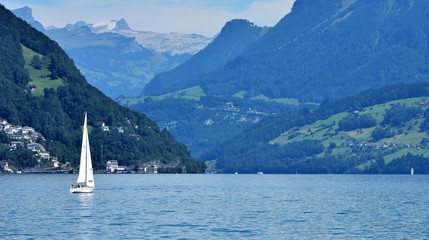 Naklejka premium suisse lacustre