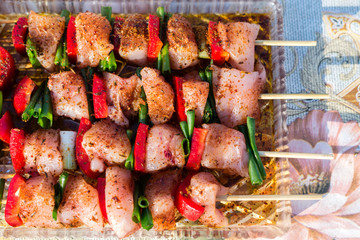 Close up pf delicious chicken breast on wooden skew with fresh vegetables, garlic, paprika fried on mangal barbeque grill