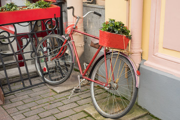 Flowers in a wooden box in the trunk of a red dyeing bike parked in the concrete walls of the house