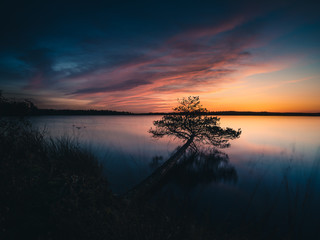 Silhouette of fallen tree against beautiful colorful sunset in Savojärvi lake, Kurjenrahka...