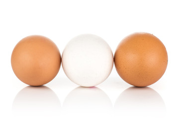 White chicken eggs collection isolated on white background one white two brown.
