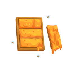 Honeycomb, apiary and beekeeping vector Illustration on a white background