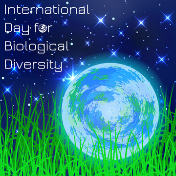International Day for Biological Diversity. Planet Earth. Lying in the grass against the background of the night sky