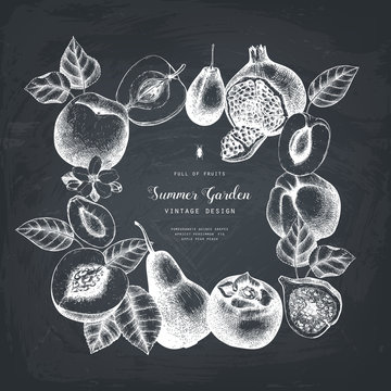Vector template desin. Hand drawn  fruits  illustrations. Fig, apple, pear,  peach, apricot, persimmon, pomegranate, quince, grapes drawing. Sketched style frame on chalkboard