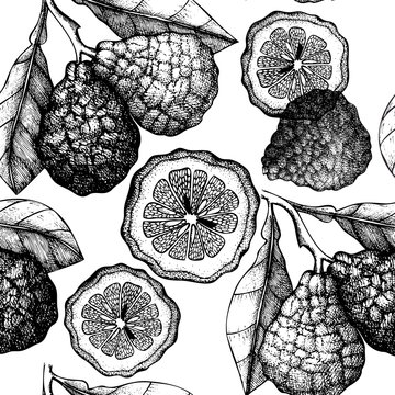 Vector seamless pattern with ink hand drawn citrus fruit, flowers, slice and leaves sketch. Vintage background with bergamot plants.