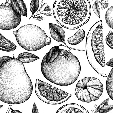Vector seamless pattern with ink hand drawn citrus fruit, flowers, slice and leaves sketch. Vintage background with exotic plants.