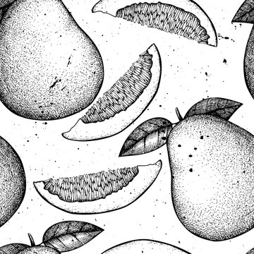 Seamless pattern with hand drawn pomelo illustrations. Vector ccitrus background. Summer fruits drawing for logo, icon, label, packaging design.