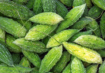 balsam apple, balsam pear, bitter cucumber, bitter gourd, bitter melon.