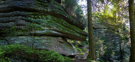 Wanderschlucht Burgstallmauer