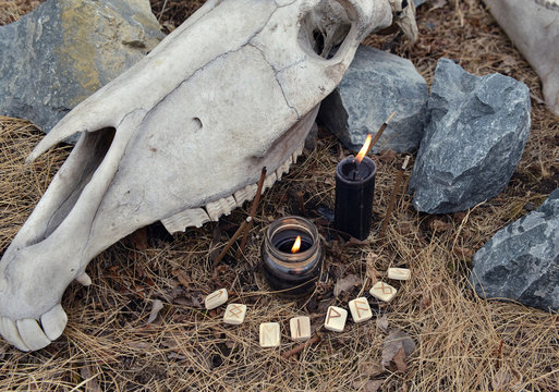 Horse skull, burning black candles and old runes. Mystic background with ritual esoteric objects, occult and halloween concept