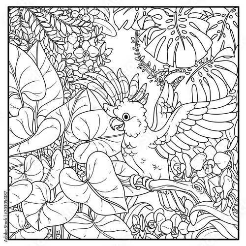 Download "Wild jungle with Major Mitchell's Cockatoo opens wings ...