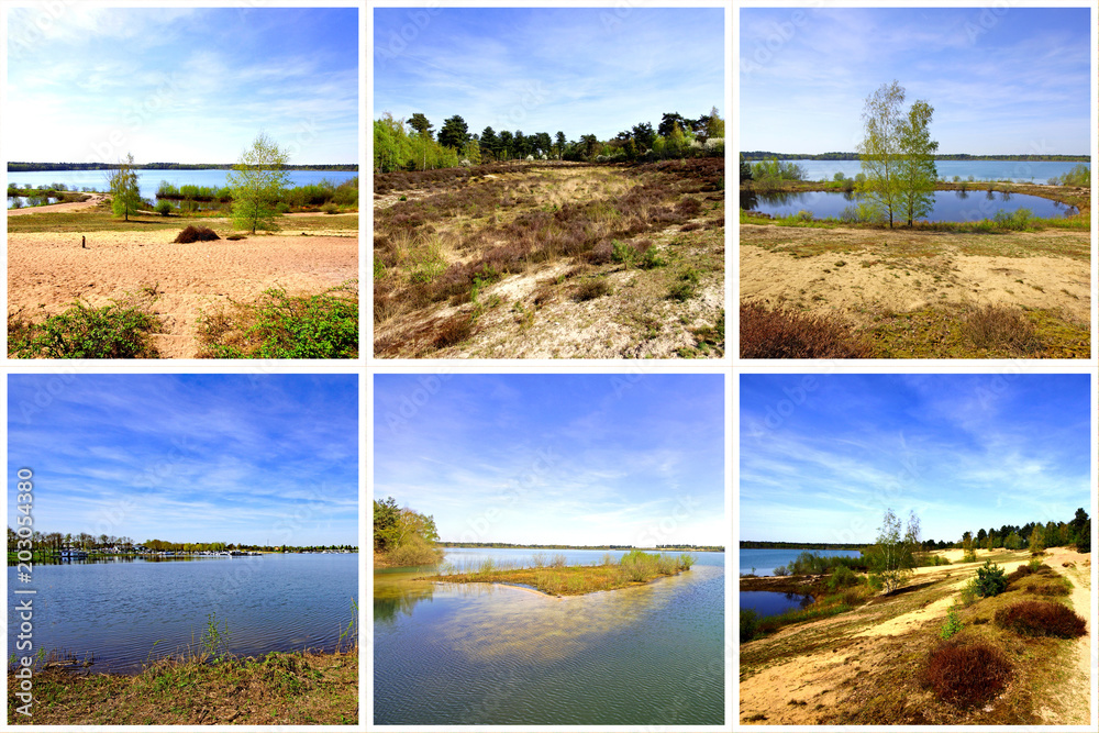 Canvas Prints REINDERSMEER + LEUKERMEER / Nationalpark De Maasduinen / Limburg / Niederl.