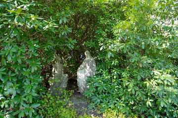 Madonna im grünen 