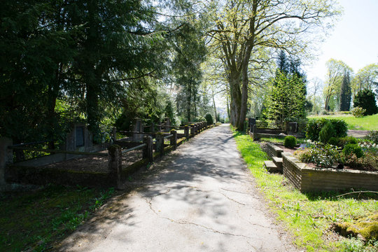 Gräberreihe Bergfriedhof