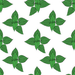 Seamless floral pattern, Nettle wild field flower isolated on white background, hand drawn vector doodle colorful illustration, decor Urtica dioica for design package tea, cosmetic, natural medicine