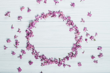 Spring flowers. Lilac flowers on white wooden background. Top view, flat lay
